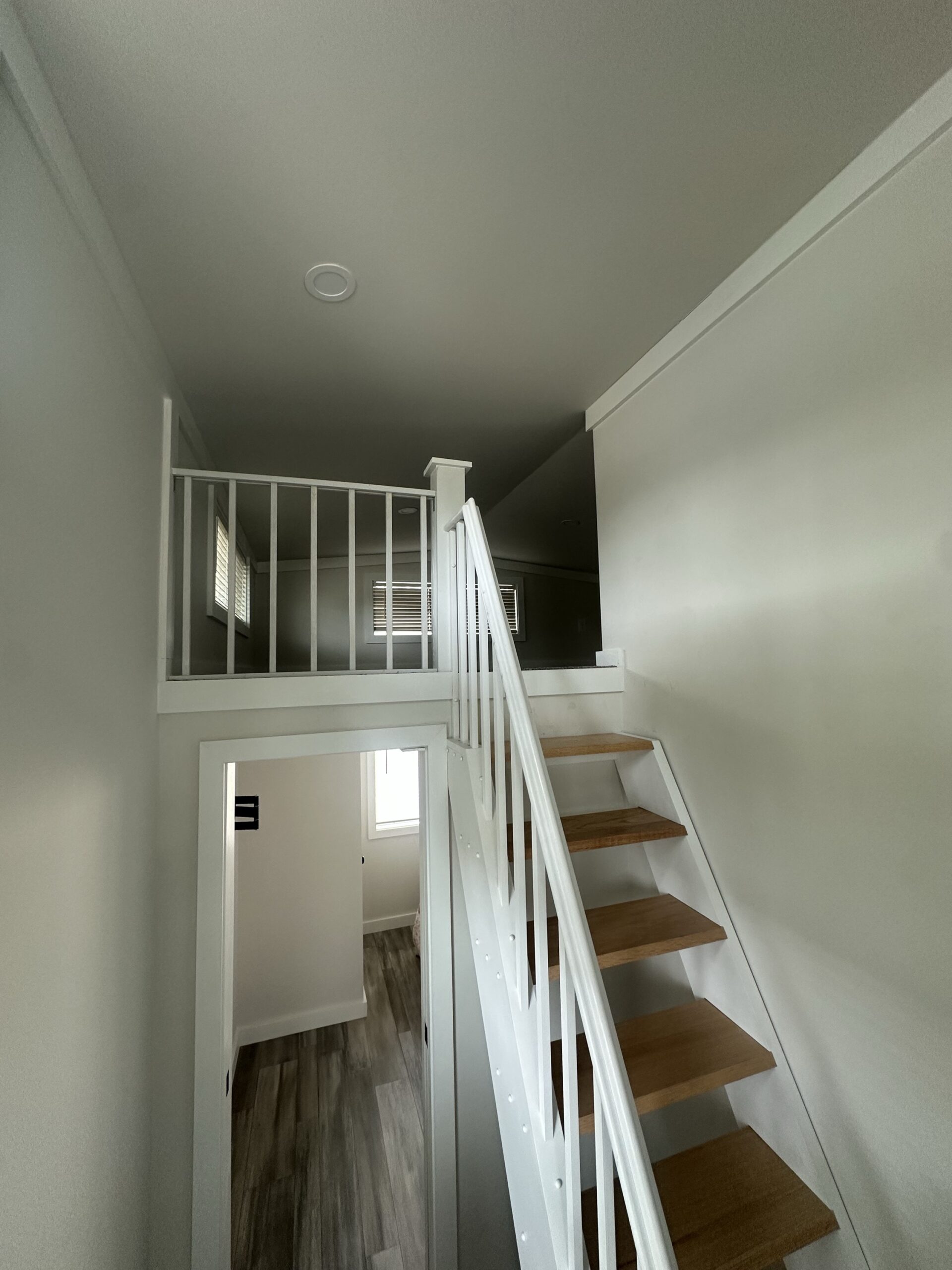 The Nest - Image 7
